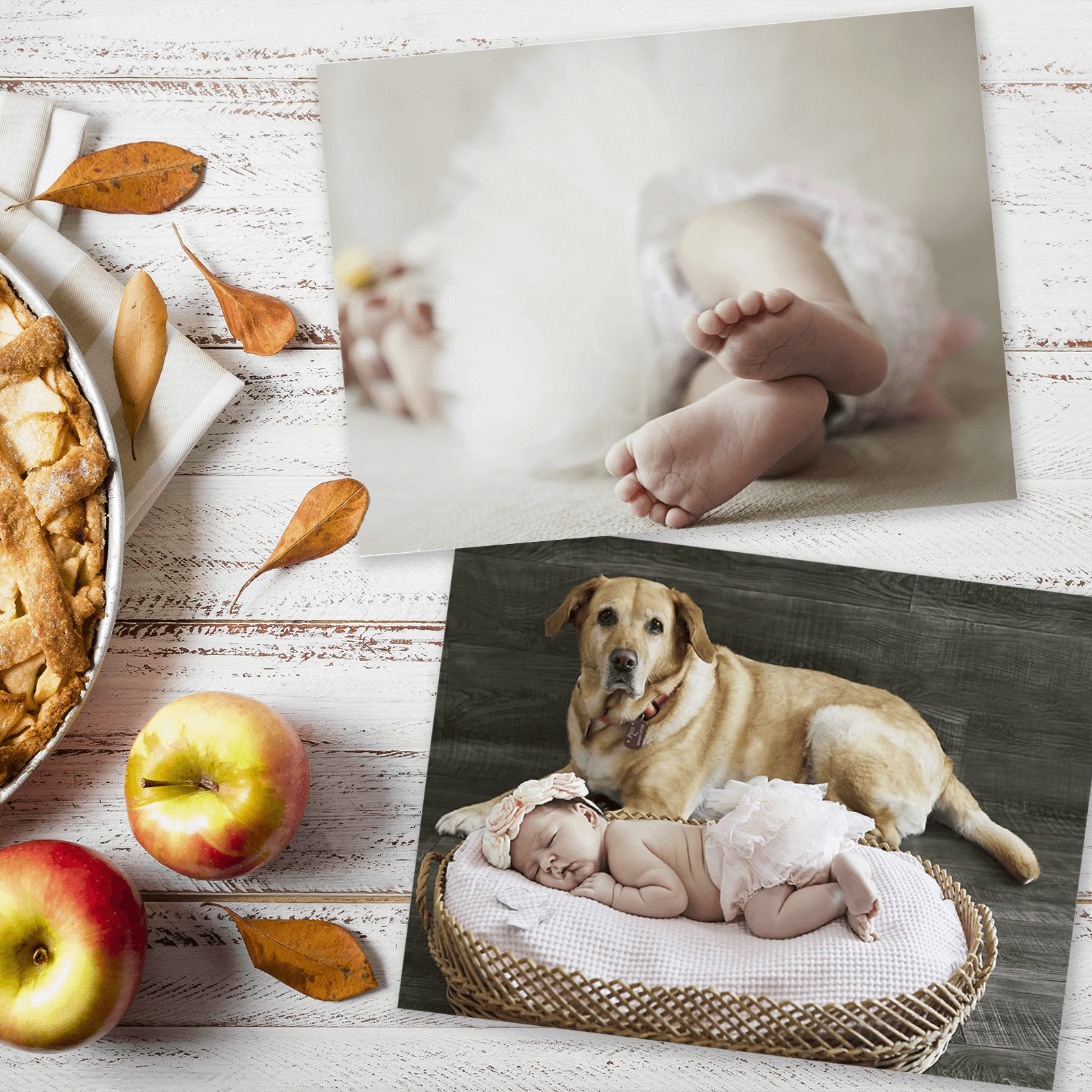 Φωτογραφία 15x20 cm