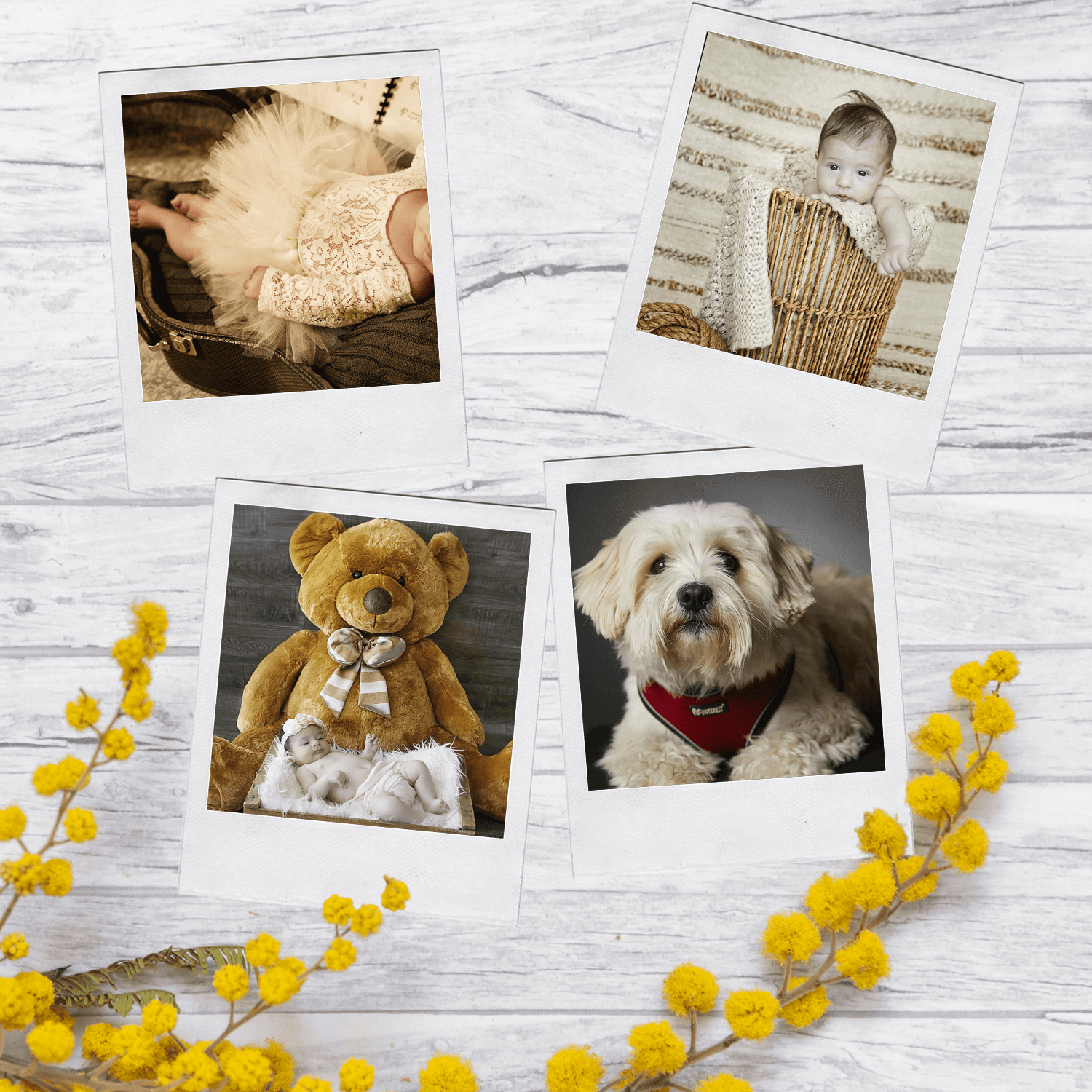 Φωτογραφίες Polaroid Style